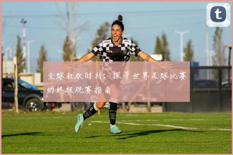 全球狂欢时刻:探寻世界足球比赛的终极观赛指南